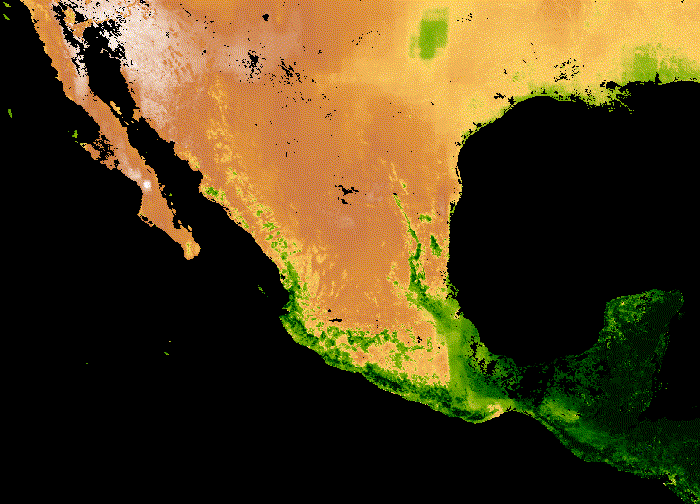 Google Earth Engine en Ingeniería de riego